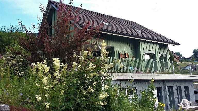 Heilsteinshop-Asp und Heilsteinschule Schweiz: das grüne Haus in Asp, Sommer 2023